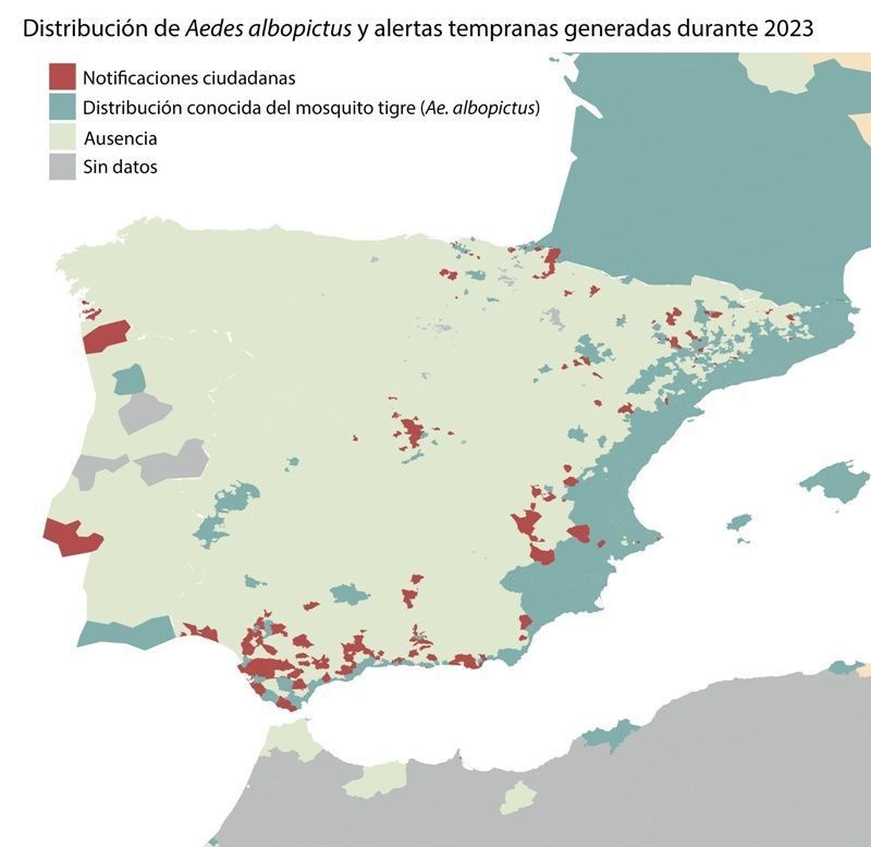 El 21% de los mosquitos tigre detectados en España es gracias a la colaboración ciudadana